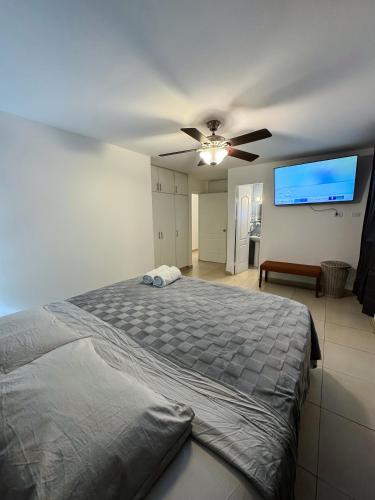 Cama o camas de una habitación en 3BR Home in Ancon Hill - Urban Oasis
