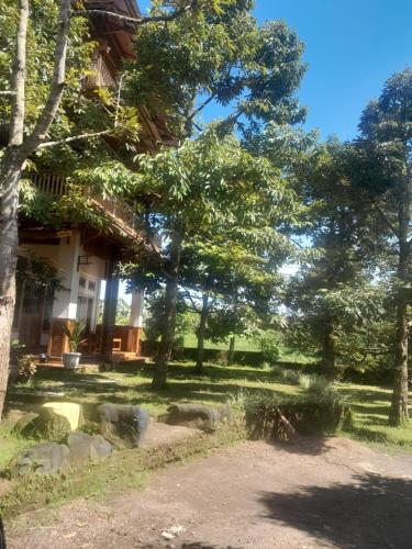 a house with trees in front of a yard at 361 Alam in Rarang