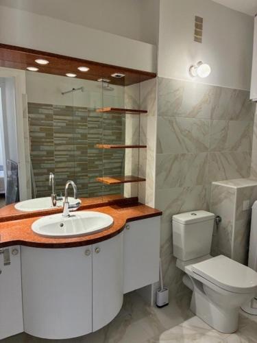 a bathroom with a sink and a toilet at Saint Florent T2 Plein Centre in Saint-Florent