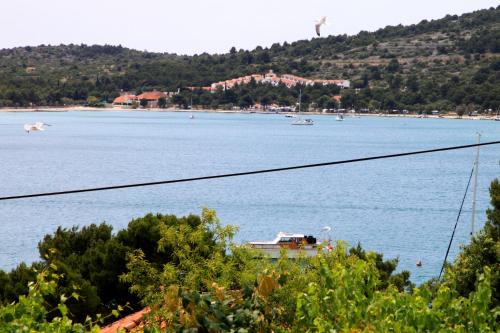 a view of a large body of water with a house at Apartments Hari Tisno in Tisno