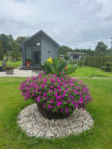 a pot of flowers in a yard with a building at Brīdis Sev in Ķekava