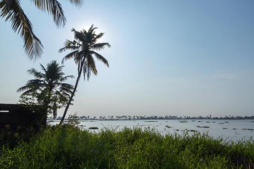 two palm trees next to a body of water at Aqualillies Water Front Heritage Homestay in Kumarakom