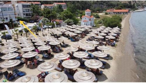 a large group of umbrellas on the beach at Endless summer,Agia Triada in Agia Triada