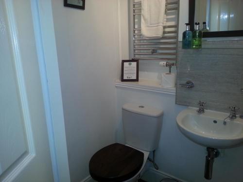 a bathroom with a toilet and a sink at Ardlogie Guest House in Aviemore