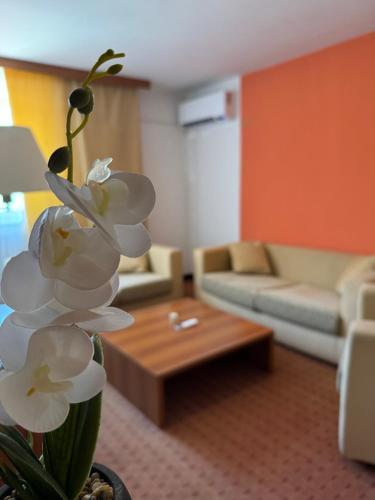 Posezení v ubytování Hotel Petar