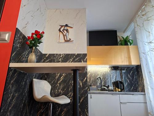 a kitchen with a sink and a shelf with a woman on it at HORTENSJA 100 in Koszalin