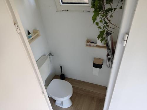 Φωτογραφία από το άλμπουμ του Getaway: Glamping nahe Hamburg σε Engelschoff