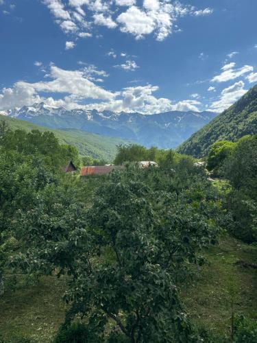 Φωτογραφία από το άλμπουμ του Guest House Vivaushba σε Bagvdanari