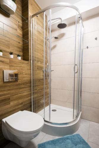 a bathroom with a shower and a toilet at Apart & Plus 1 in Okuninka