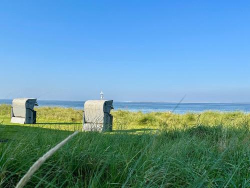two stone objects sitting in the grass near the ocean at Hotel Meeresburg in Norderney