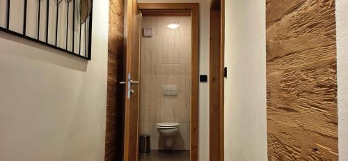 a small bathroom with a toilet in a hallway at Appartements Scharzenberger und Hinteregg in Schladming