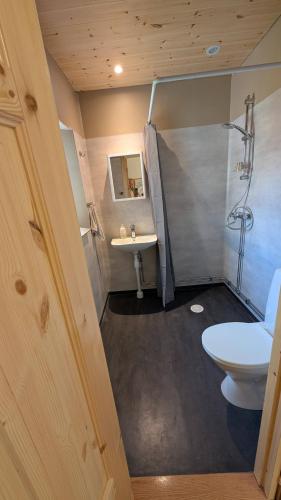 a bathroom with a shower and a sink and a toilet at Lapland Snow Cabin in Masugnsbyn