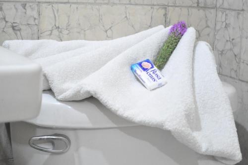 a white towel with a tube of toothpaste sitting on a toilet at Hotel Metropolitan II in Irapuato