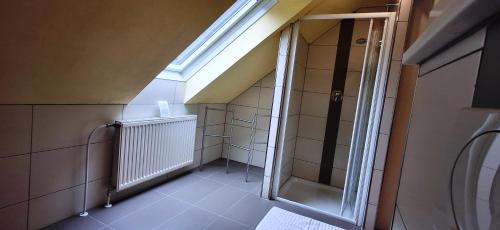an attic bathroom with a shower and a skylight at Appartements Scharzenberger und Hinteregg in Schladming