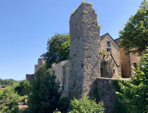 an old stone building on a hill with trees at Les Remparts de Sainte-Suzanne in Sainte-Suzanne