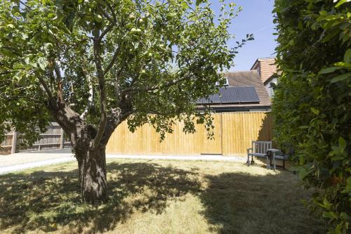 a tree in a yard with a bench next to a fence at Bell House Oxford - The Punt in Oxford