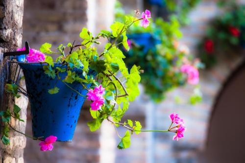 Villa Conmigo Bed & Breakfast – Photos 4