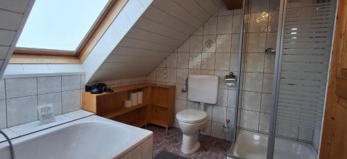 a attic bathroom with a toilet and a tub at Appartements Scharzenberger und Hinteregg in Schladming