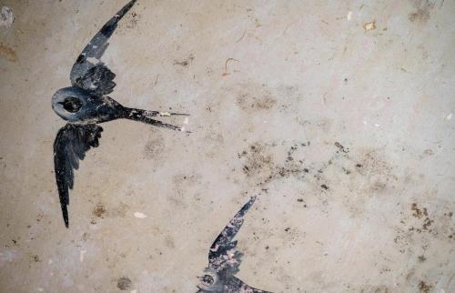 a bird on a dirty floor with a birdrint at Donna Zaira rooms&suites in Maglie