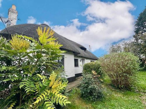 Κήπος έξω από το Rinsey Cottage