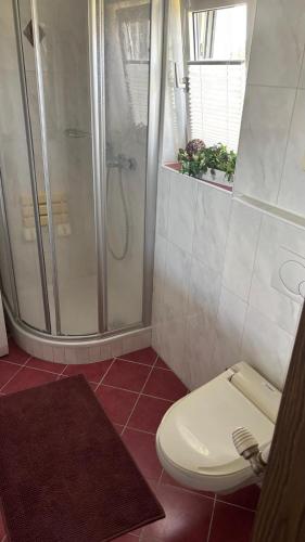 a bathroom with a shower and a toilet at Ferienhaus Maria in Eibiswald