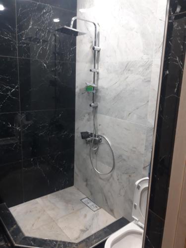 a bathroom with a shower and a toilet in it at Arm Garden in Aghk'ilisa