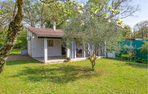 Lovely Home In Valbandon With Kitchen