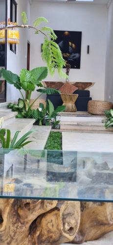 a glass table with plants in a room at Peaceful 2BR House with Rice Field View Near Beach & Local Spots in Mendaya
