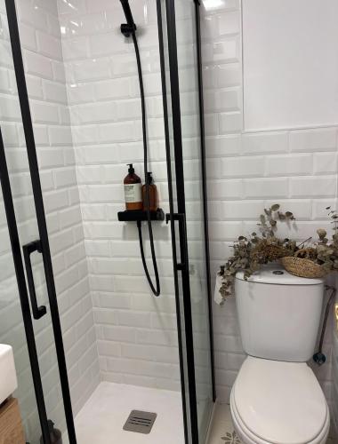 a bathroom with a shower with a toilet in it at Lomas de Sancti Petri in Cádiz