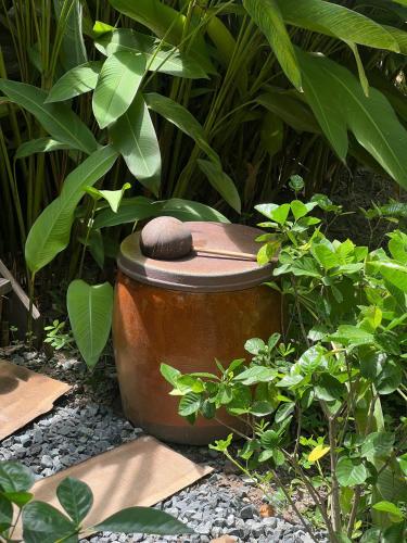 Un jardín fuera de Coco-Cao Glamping