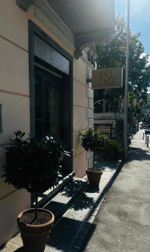 a building with two potted plants in front of a store at Angoli di pace - Appartamento trilocale in Muralto