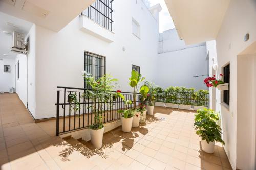 Foto Brisa Jerez Suites 5