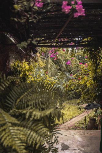 a garden with pink flowers and a pathway at Banana House and Wellness Centre in Lamu