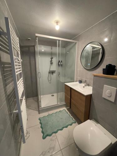 a bathroom with a shower and a toilet and a sink at Morlaix appartement centre-ville in Morlaix
