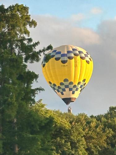 a yellow and blue hot air balloon flying over trees at Château De La Bûcherie in Saint-Cyr-en-Arthies