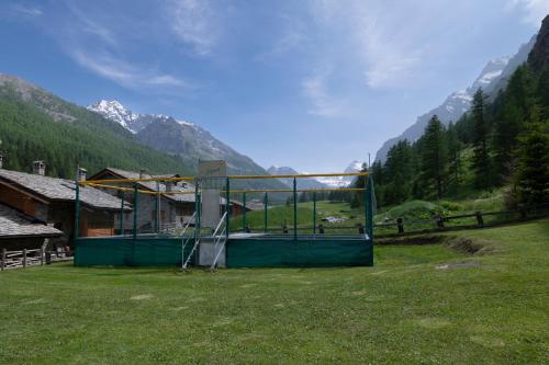 a basketball hoop in a field with mountains in the background at Hotel Granta Parey in Rhêmes-Notre-Dame
