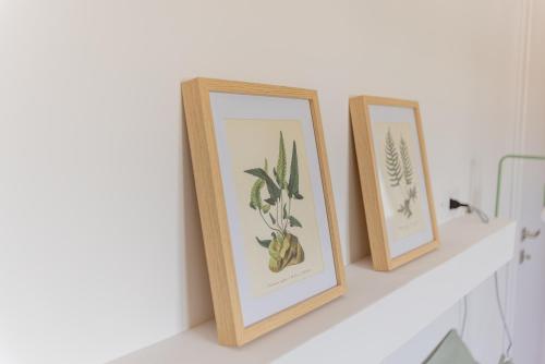 a shelf with three framed pictures of a cactus at Il tuo rifugio vista mare DIMORA SABUCCHI in Pescara