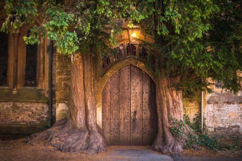 a wooden door with two trees growing around it at The Old Bakery Sleeps 4 in Kingham