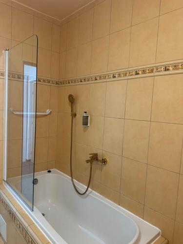 a bathroom with a shower and a bath tub at Wellness penzion Harmonie Rohanov in Prachatice