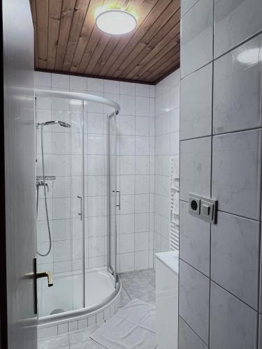 a bathroom with a shower and a bath tub at Fankhauser Apartments - am Berg in Ried im Zillertal