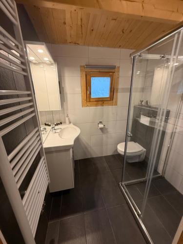 a bathroom with a shower and a sink and a toilet at Villa Bartje in Schoonebeek