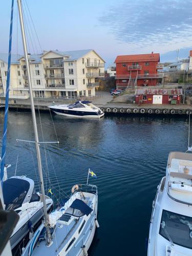 two boats are docked in a harbor with buildings at Pensionat bryggan in Smögen