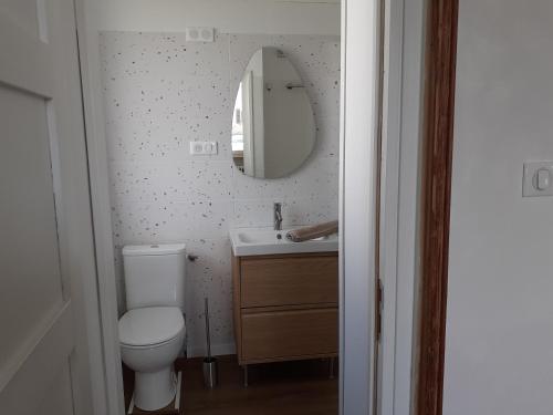 a bathroom with a toilet and a sink and a mirror at Les Chambres de Kérity in Penmarcʼh