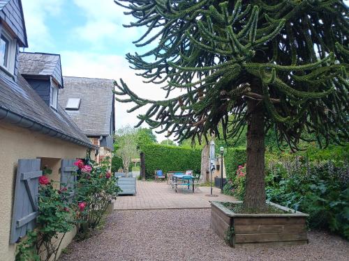 a tree in a pot next to a courtyard with flowers at Gîte L'Orée de Deauville in Saint-Gâtien-des-Bois