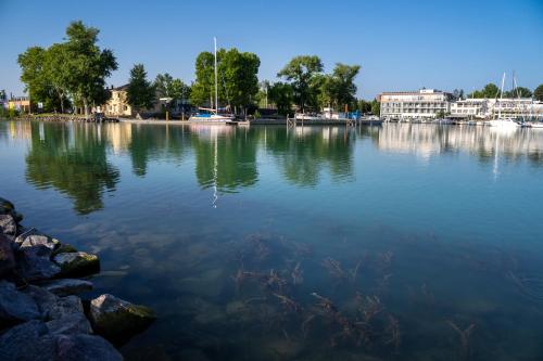 a large body of water with trees and buildings at Renegade Hotel in Siófok