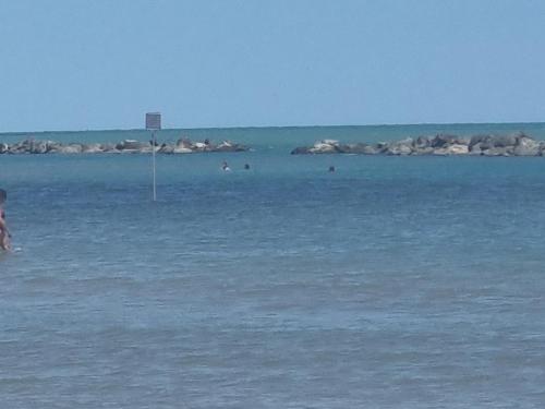 Naturlandskabet i nærheden af lejligheden