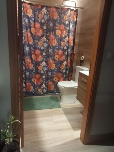 a bathroom with a shower curtain with a toilet at Alojamento do Canto in Viana do Castelo