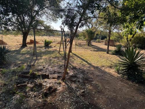 a tree in the middle of a field with trees at Impala Game Ranch in Dinokeng Game Reserve