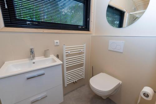 a bathroom with a sink and a toilet and a mirror at Tiny House de Hazelaar in Zuidwolde