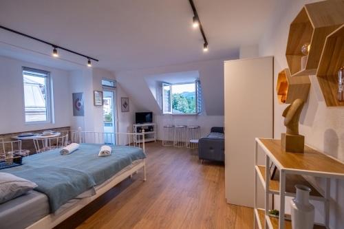 ツェティニェにある086 Studio Apartmentのベッドとリビングルームのある寝室